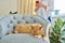 Relaxed sleeping cat on armchair, woman using smartphone in defocus