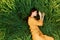 a relaxed woman enjoys summer lying in the tall green grass with her eyes closed. Photo taken from above