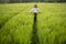 Relaxed woman standing in green field and enjoys calm nature