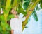 Relaxed young woman among tropical palms