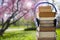 Relaxing with audiobooks during springtime season with heap of books and vintage headphones. Beautiful blooming cherry tree in the