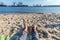 Relaxing at the beach at the Elbe river in Hamburg with harbour facilities and container vessels in the background