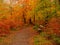 Relaxing bench in amber fall wood