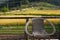 Relaxing chair with yellow rice terraces background