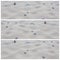 Relaxing collage Poster or Banner of Beach Baltic shore Dunes