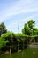 Relaxing gardens in Kameido Tenjin Shrine. Tokyo Skytree towers behind the shrine, adding a sleek