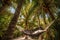 Relaxing hammock nestled between palm trees on a tropical island. Generative AI