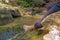 Relaxing moments, Asian girl during the hiking activities in forest at sunset, enjoying in nature.