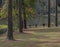 Relaxing picnic area at Homochitta National Forest Recreation Area in Natchez, Mississippi