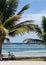 Relaxing place on a tropical beach with sun seat and bicycle under a palm tree