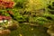 Relaxing scene from a koi fish pond