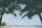 Relaxing scene, tropical beach with coconut palm tree - vintage style