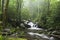 Relaxing scenic in the Great Smoky Mountains USA