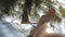 Relaxing under palms on the beach at sunset. Feet swinging in a hammock, POV.