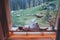 Relaxing Woman wrapped white towel lying on the wooden bench in Hot Finnish sauna with a huge wide window with green forest view