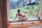 Relaxing Woman wrapped white towel sitting on the wooden bench in Hot Finnish sauna with a huge wide window with green forest view