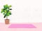 Relaxing yoga background, Unrolled yoga mat on the floor in modern indoor fitness space at home with lots of indoor plant