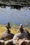 Relaxing, Zen Like View Including Stacks of Natural Rocks and a Lake during a Sunny Day