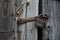 Reliable old barn rusty padlock on a wooden door