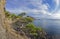 Relict pine tree next to an old ruined mountain trail. Crimea, S