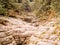 Relief rocky gorge overgrown with moss and dense deciduous forest. Navalishchenskoe gorge. White cliffs canyon