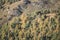 Relief slopes and ridges in mountains with vegetation and rocky ledges in autumn