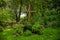 Religion cross cemetery grave landscaping view ground hill flower bed vivid green grass cover spring time blooming garden peaceful
