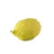 Religion image of Jewish festival of Sukkot. Traditional symbol one of the four species: citron Etrog. white background