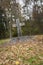 Religious Cross Carved in Tree Stump