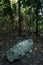 religious holy stone artifact in the middle of the tropical rainforest jungle with historic meaning