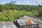 Religious Offering, rice terrace, Ubud, Indonesia