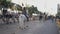 Religious procession on the street with locals riding on horses. Feast of Saint Anthony In Valencia, Spain. wide