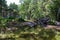 Remainings of a destroyed wooden building in the forest of Hanko Finland