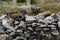 remains of ancient ceramic pipes from the water supply. Prefabricated sections of ceramics from which the pipeline was assembled