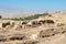 Remains of Ancient Panjakent. a famous Historic site in Panjakent, Tajikistan