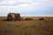 Remains of an ancient stone sacral structure for observing the movement of heavenly bodies, lying in the steppe