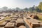 Remains of buddhist temple in Sarnath, Varanasi, Uttar Pradesh