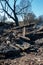 The remains of a burnt-out old wooden house in the village. A burned house and injured people as a result of a forest fire.