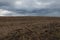 The remains of burnt sunflowers in the field in the evening. Gloomy landscape