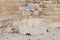 The remains of Byzantin Church in the courtyard of the Chapel of the Ascension on Mount Eleon - Mount of Olives in East Jerusalem