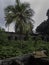 Remains of a civilian hospital built by the Japanese on Tonoas Island, Truk