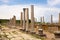 Remains of colonnaded market square Agora in ancient city of Perge