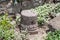 The remains of columns in ruins of the Dir Aziz Synagogue, built in the Byzantine period, at the beginning of the sixth century AD