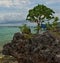 Remains of coral reefs