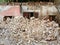 The remains of the demolished building are a pile of bricks and a wall with a door