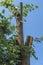 The remains of a fallen tree after a heavy thunderstorm in Berlin, Germany.