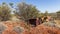 Remains of former gold mines polluting the Australian outback