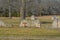 The Remains of Fort Towson Barracks from the Civil War. A frontier outpost in Indian Territory, Fort Towson, Choctaw County, Oklah