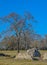 The Remains of Fort Towson Barracks from the Civil War. A frontier outpost in Indian Territory, Fort Towson, Choctaw County, Oklah