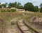 Remains of a German world war 2 bunker in The Netherlands